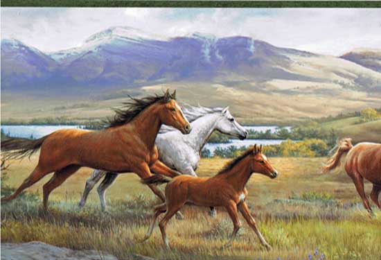 Wallpaper Border - Open Range